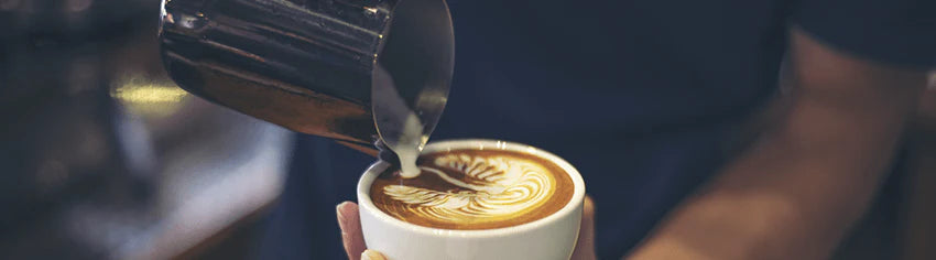 De'Longhi Cocoa Shaker for Cappuccinos or Lattes DLSC061