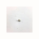 Fixing bolt for Candy dryer filter 40006911