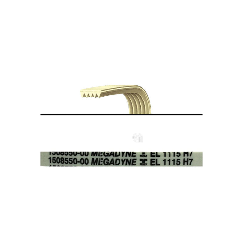 ELECTROLUX, REX, ZANUSSI, PRIVILEG, ZANKER, UNIVERSAL - Washing Machine Belt 1115 H7 - 1508550009