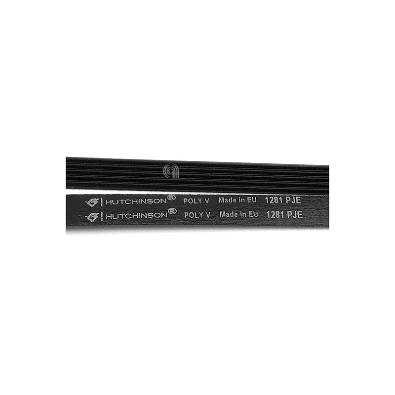 ELECTROLUX, MIDEA - Washing machine belt 1281 J5 EL - 4055123915