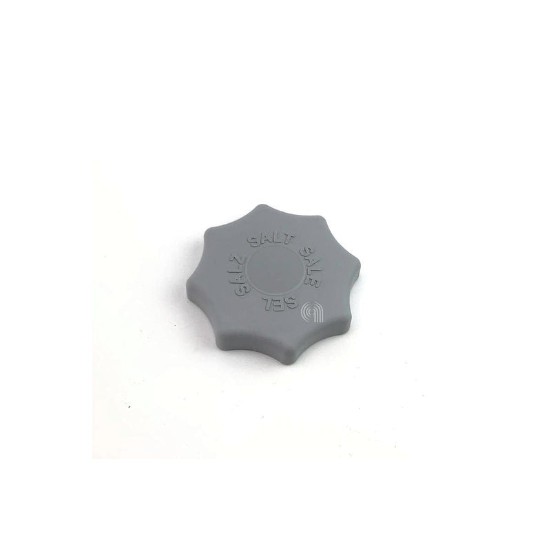 Anti-limescale plug for Candy dishwasher with codes 41902830 and 91670172