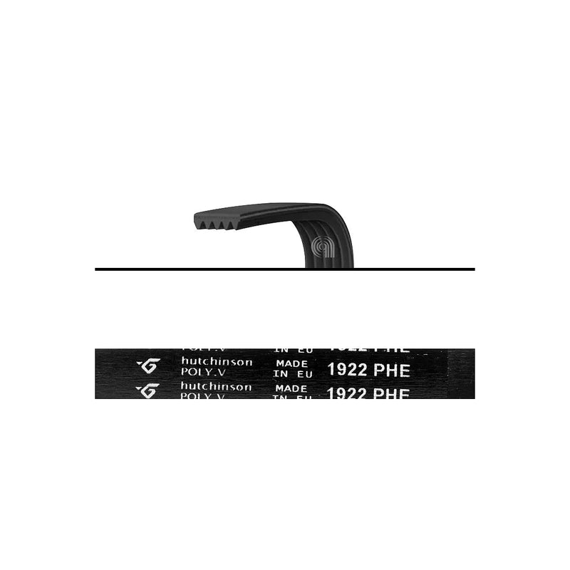 ARDO MERLONI - Elastic Drive Belt 1922 H8 EL - 416001300