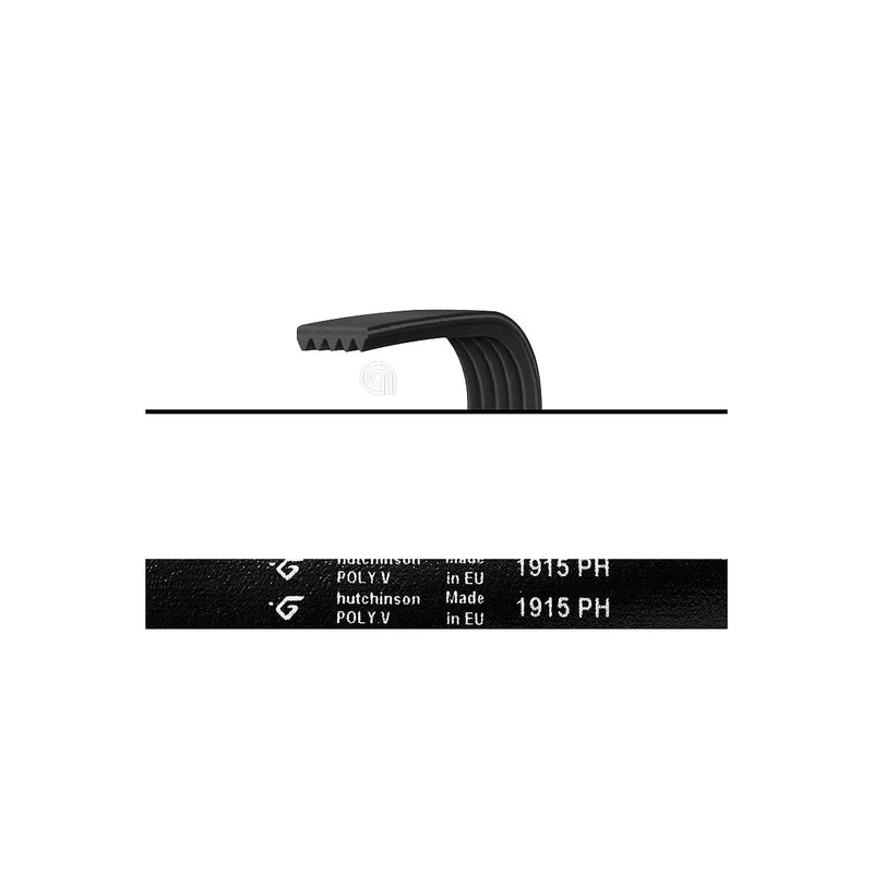 HOTPOINT INDESIT WHIRLPOOL - Transmission Belt for Dryer - C00179066