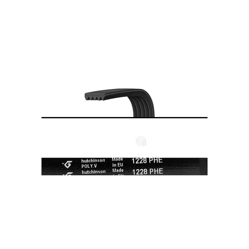 VESTEL, BOMPANI, SMEG, WHIRLPOOL, INDESIT - Poly-V Belt for Washing Machine - 1228H6