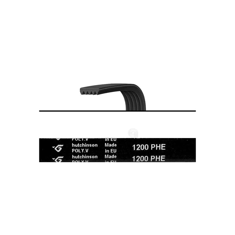 UNIVERSAL - Elastic Drive Belt for Washing Machine - 46007433