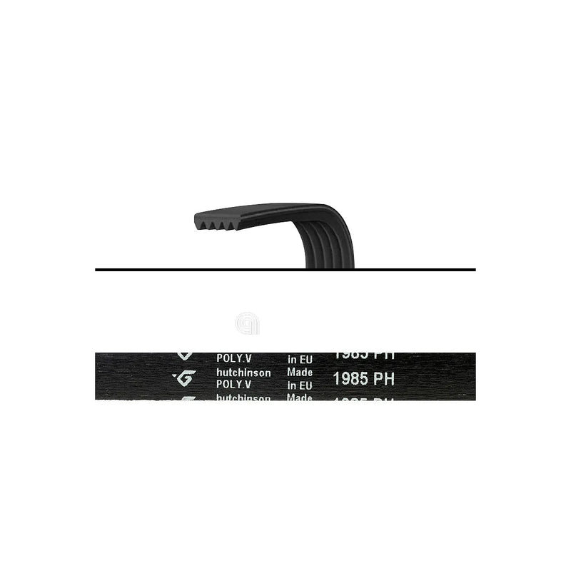 BAUKNECHT - 1985 H7 Poly-V Drive Belt - 03238600001580