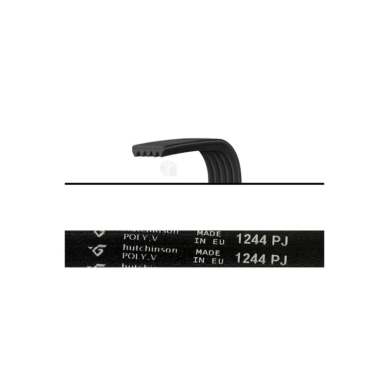 WHIRLPOOL, INDESIT, GORENJE - Poly-V J5 Belt for Washing Machine - 1244J5