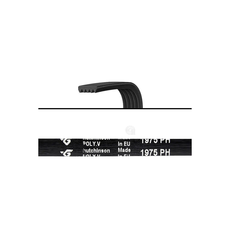 ELECTROLUX - Washing Machine and Dryer Drive Belt - AST-00126257