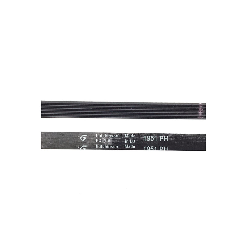 Original H6 1951 Poly-V belt for Candy dryer and other brands