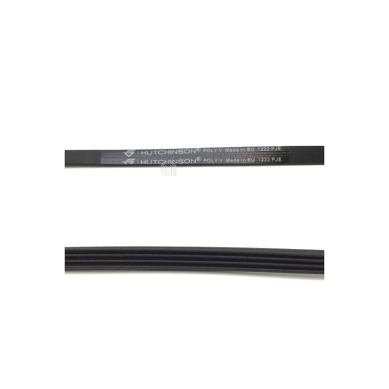 ELECTROLUX, ZANUSSI, BRANDT, FAGOR - Washing machine belt - 1290775806