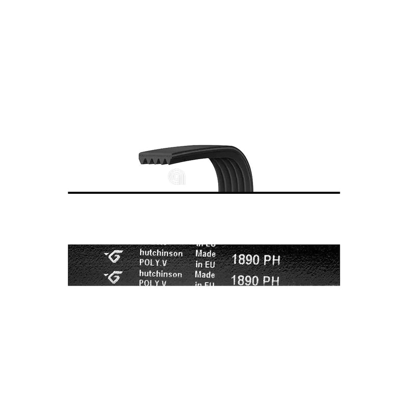 PHILCO, UNIVERSAL - H8 1890 Poly-V Belt for Washing Machine - AST-00126333