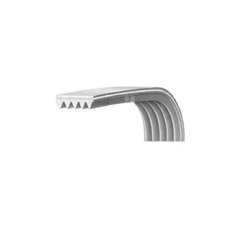 BEKO - Poly-V 1244 J5 Washer Transmission Belt - 2466300201