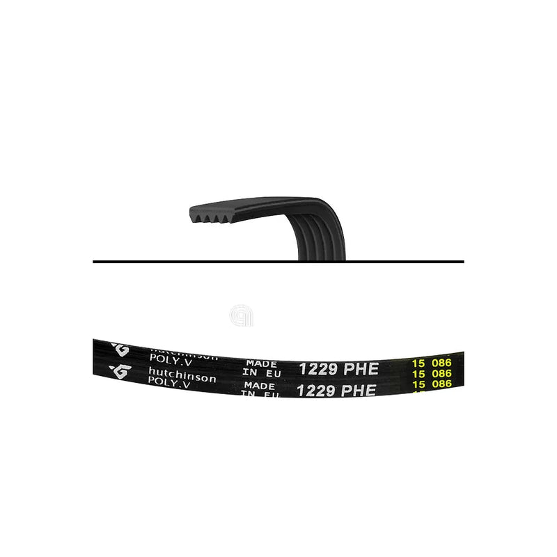 WHIRLPOOL, BAUKNECHT, POLAR, IGNIS - 1229 H6 Washing Machine Belt - 480111101149