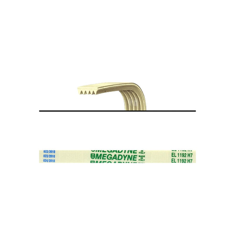 SILTAL ARISTON INDESIT MERLONI - Washing Machine Transmission Belt - C00063428