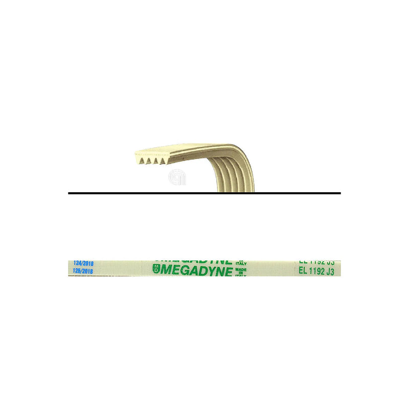AEG ZANUSSI REX - Washing Machine Replacement Belt - AST-00126451