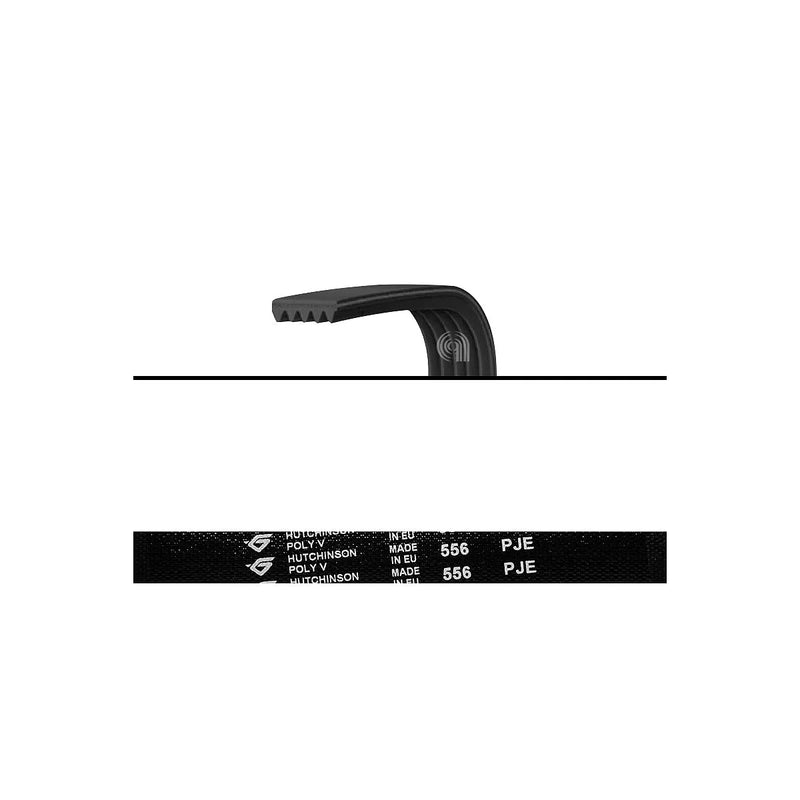 WHIRLPOOL MAYTAG - Elastic Transmission Belt J5 556 Poly-V for Washing Machine - W10006384