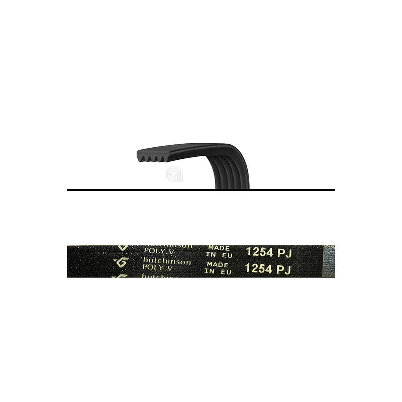 WHIRLPOOL, BAUKNECHT - Poly-V Drive Belt 1254 J5 Washing Machine - 481235818007