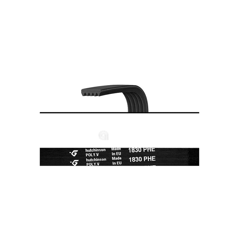 UNIVERSAL - Dryer Belt 1830 H8 - AST-00126362