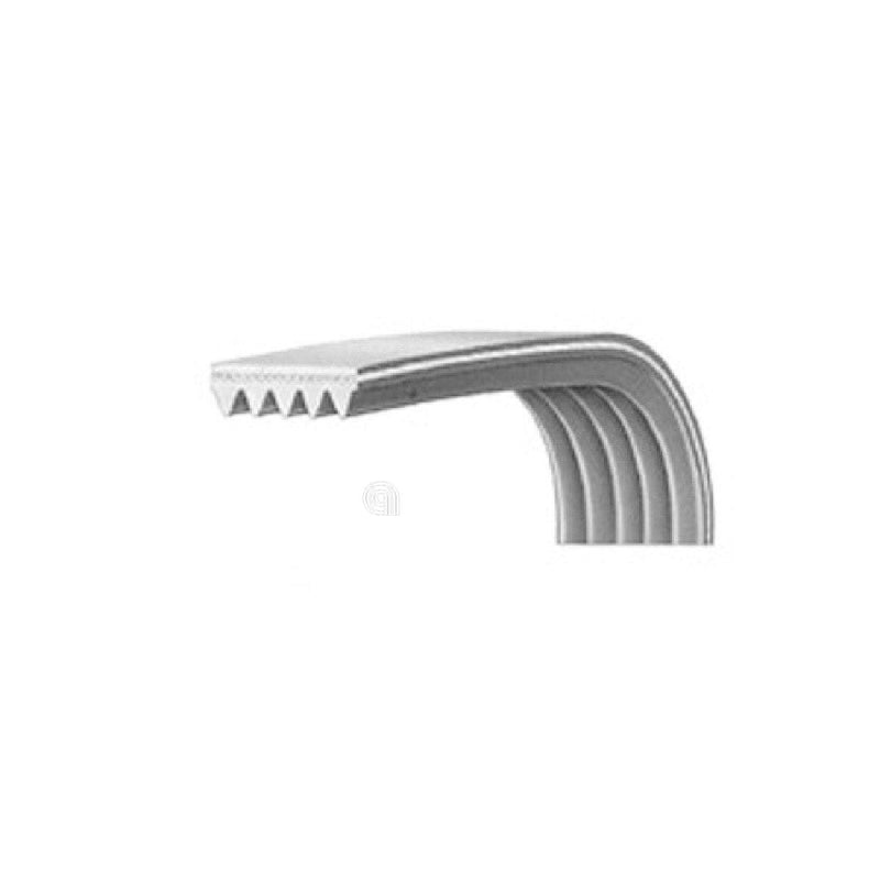 Original Poly-V H6 1227 belt for Bompani and Vestel washing machine
