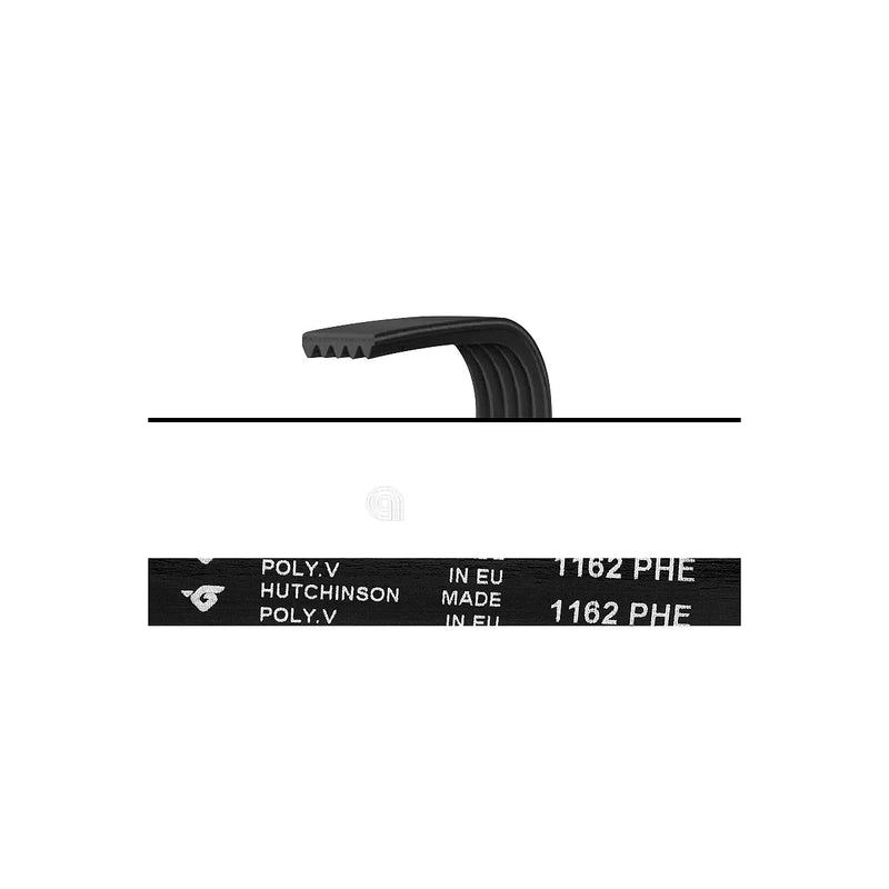 ATLANT - Poly-V H7 Belt for Washing Machine - 908092003041
