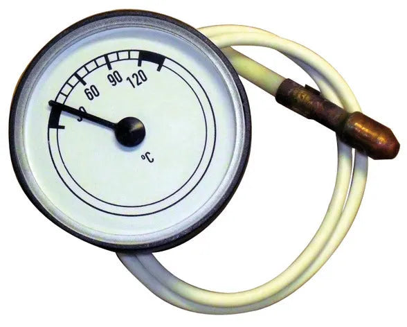 VAILLANT boiler thermometer | 101002