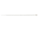 Nylon Clamp 2.5x100mm (100 units) | 11101919