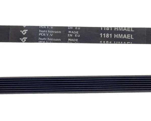 1181 h-8 slotted washing machine belt