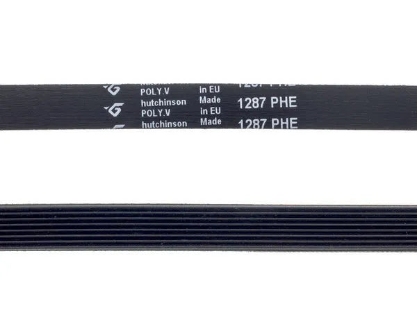 HUTCHINSON grooved washing machine belt 1287 h-8 | 481281728277