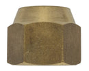 Refrigeration nut SAE 3/4'' h | 03TF075